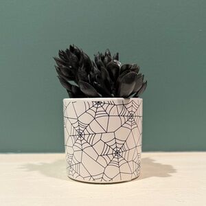 Halloween Black Spiderweb Artificial Succulent